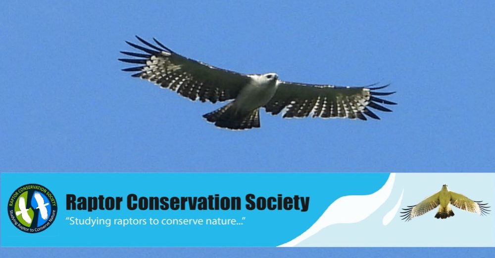 RAPTOR CONSERVATION SOCIETY